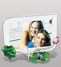 WIn-156 фоторамка "лотус с лягушкой" (780952)
