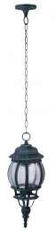 Потолочный уличный светильник Arte Lamp Atlanta A1045SO-1BG