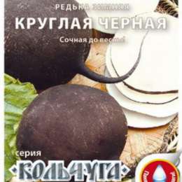 Редька Зимняя круглая черная