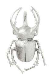 Украшение настенное Beetle Kare