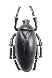 Украшение настенное Beetle Kare