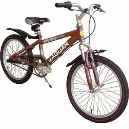 Велосипед 2-х колесный Funny Scoo MS-A203S Alfa 3ск фиолетовый