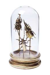 Предмет декоративный Insect Kare