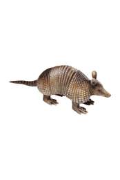 Статуэтка Armadillo Kare