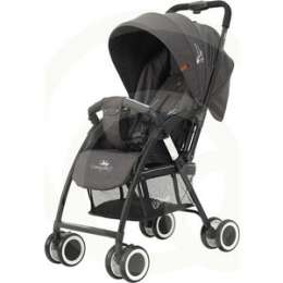 Коляска прогулочная Rant WING RA888 black / графит