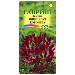 семена Клеома Вишневая королева 0,3г
