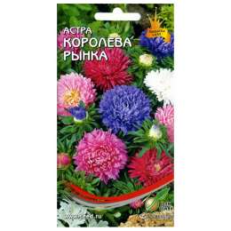 семена астра Королева Рынка смесь  Дом Семян