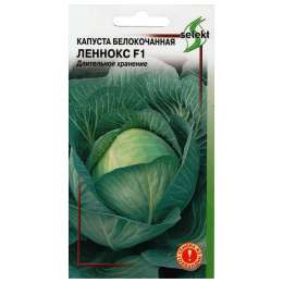 семена Капуста б/к Леннокс F1 12шт